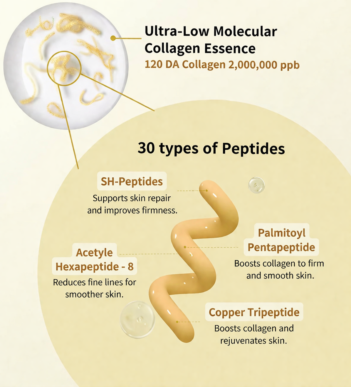 Korean Silk Lifting Peptide Ampoule (Anti- Wrinkle Repair Formula)